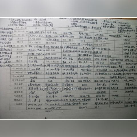 清华高颜值美女学霸走红现象分析与应对方案