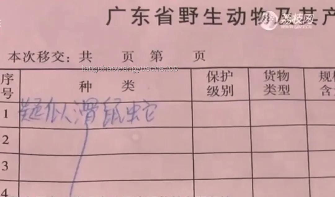 广州小区滑鼠蛇出现应对方案