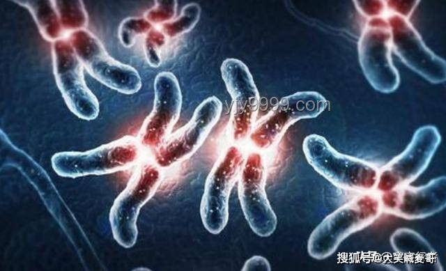人类与螨虫共生：一生的微观伴侣【基德】