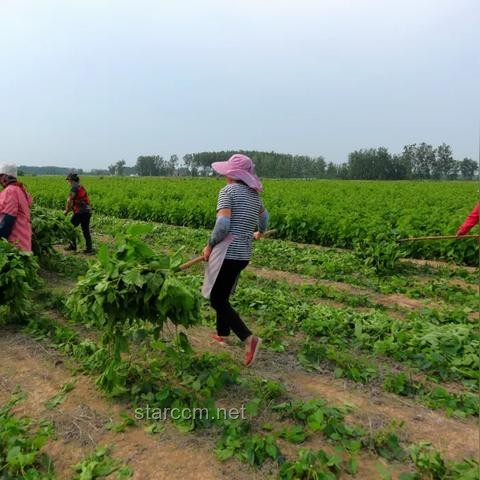高考扁担女孩就业选择透视：基层青年就业现状与机遇
