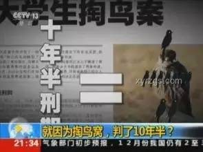 月入5万女生跨界陪父掏粪：价值重构的生活艺术