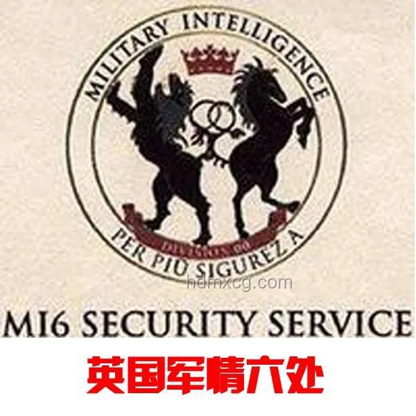 胡塞武装声明：高层安全无虞，集体暗杀传闻不实🚫💥